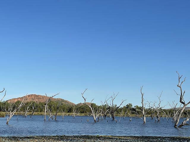 Kununurra (Day 2)