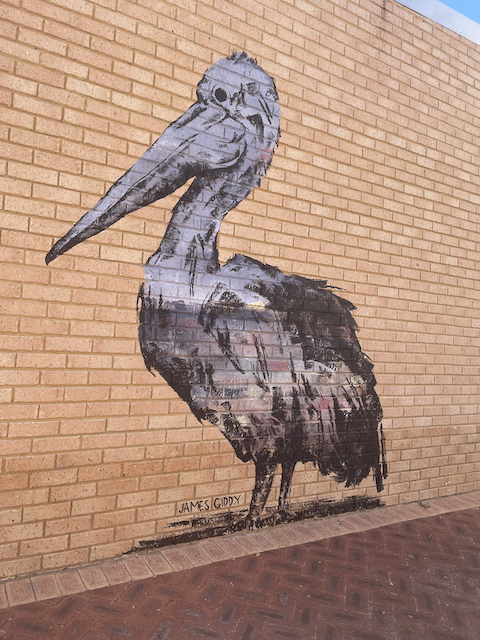 Kalbarri (Day 4 – Happy Birthday R & L)